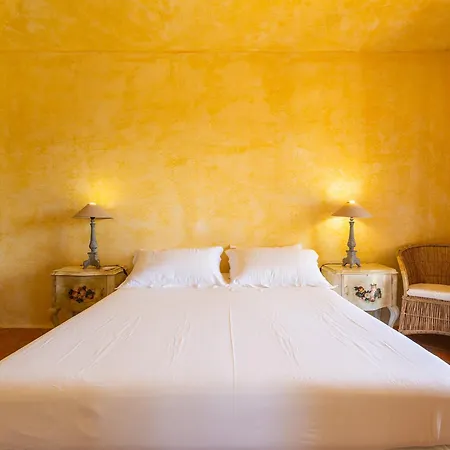 Paola וילסימיוס