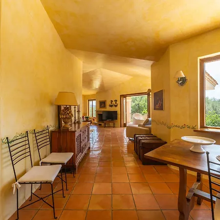 Paola וילסימיוס