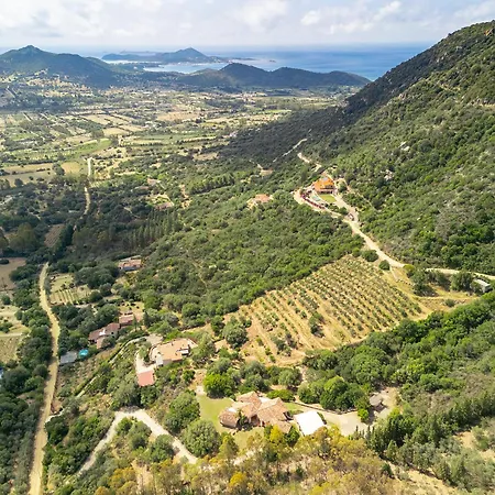 Paola * וילסימיוס