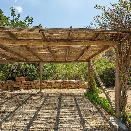 Paola וילסימיוס